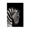 Art Addiction Father's Day ACRYLIC SCULPTURE ZEBRA PROFILE THICK