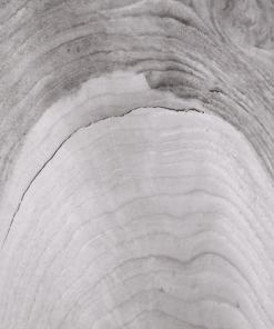 John Richard CABINET TWO-DOORS BLACK AND WHITE Side Tables