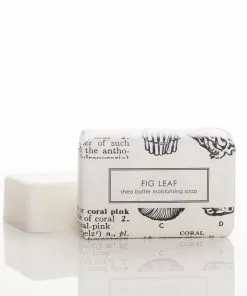 Gifts By Occasion FORMULARY 55 BATH BAR (FIG LEAF)