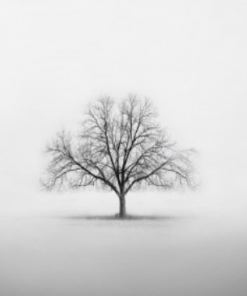 Art Addiction ACRYLIC SCULPTURE ART TREE Gifts By Occasion