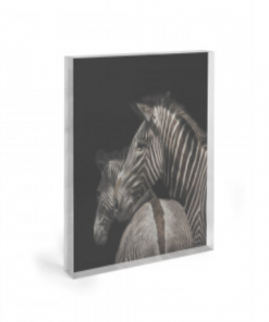 Art Addiction Gifts By Occasion ACRYLIC SCULPTURE ART TWO ZEBRAS