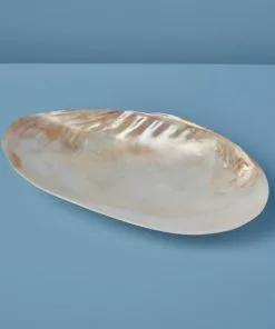 Be Home Gifts By Occasion FOOTED DISH SEASHELL