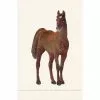 ANALI INC GUEST TOWEL HORSE Gifts By Occasion