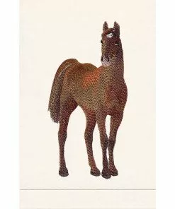 ANALI INC GUEST TOWEL HORSE Gifts By Occasion