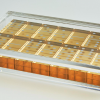 Tizo Design Gold Domino Set In Lucite Box Gifts By Occasion