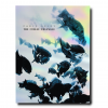 Assouline Book "The Coral Triangle"