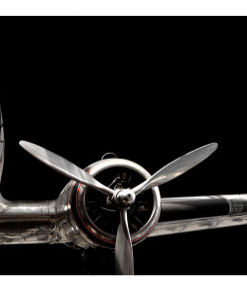 Art Addiction ACRYLIC SCULPTURE AIRPLANE S/2