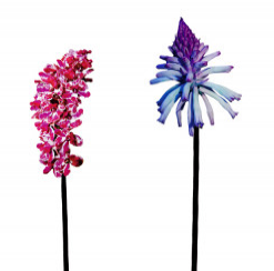 Art Addiction ACRYLIC SCULPTURE BOTANICAL FLOWER COLOR Father's Day