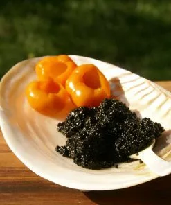 Be Home Gifts By Occasion FOOTED DISH SEASHELL