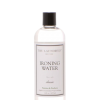 THE LAUNDRESS IRONING WATER
